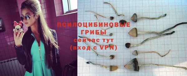 мдма Бронницы