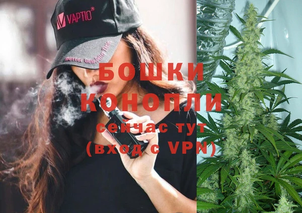 шишки Бугульма